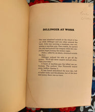 Load image into Gallery viewer, Gangs & Gangsters: The Illustrated History Of Gangs From Jesse James To Murph The Surf