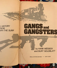 Load image into Gallery viewer, Gangs & Gangsters: The Illustrated History Of Gangs From Jesse James To Murph The Surf