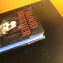 Load image into Gallery viewer, Blood Brother: 33 Reasons My Brother Scott Peterson Is Guilty