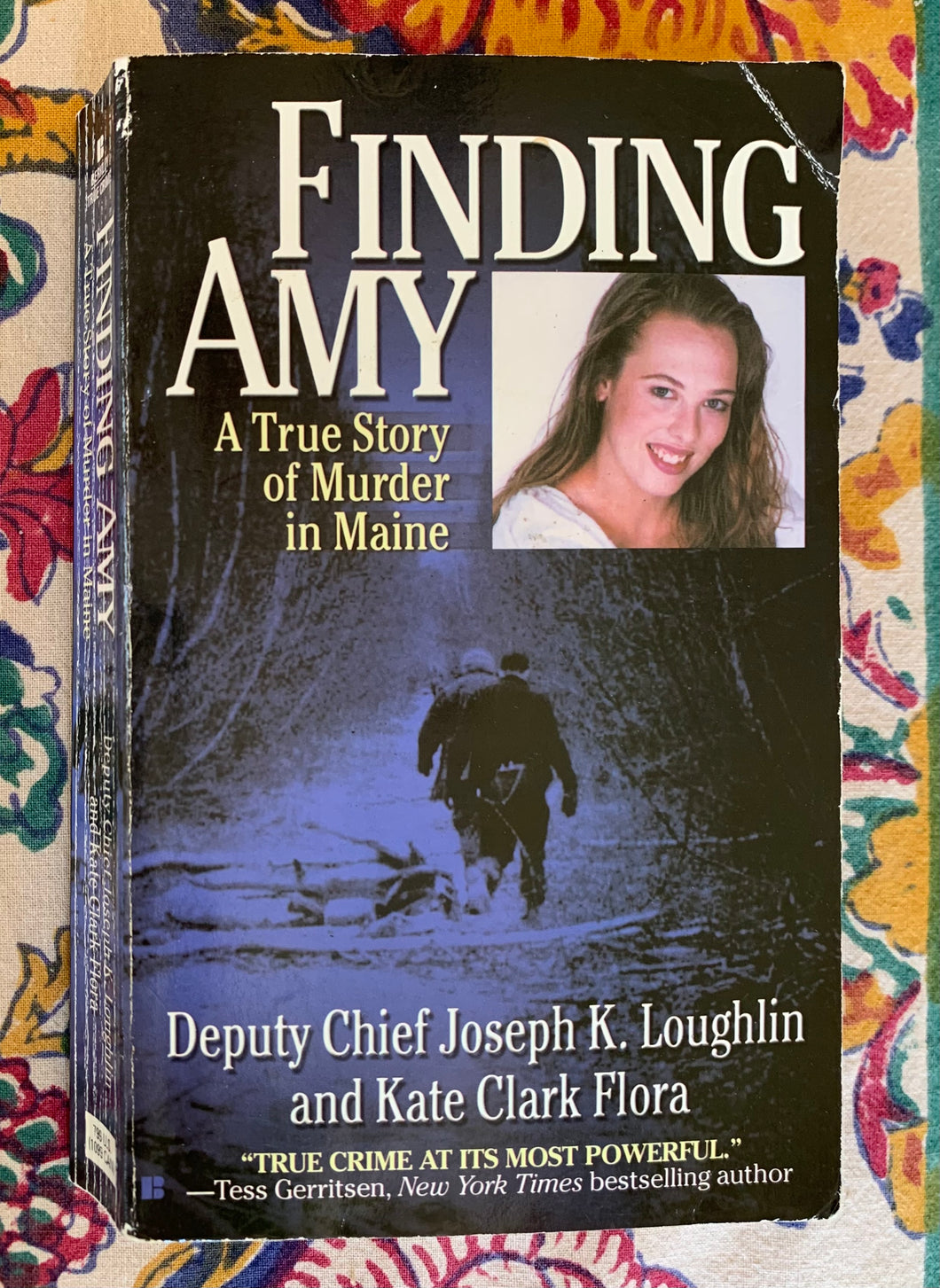 Finding Amy: A True Story of Murder in Maine