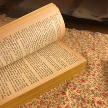 Load image into Gallery viewer, Kidnap: The Story of the Lindbergh Case
