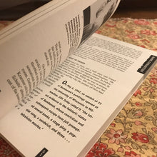 Load image into Gallery viewer, Sex, Sin &amp; Mayhem: Notorious Trials Of The 1990s
