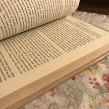 Load image into Gallery viewer, The Yale Murder
