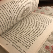 Load image into Gallery viewer, The Vanishing Triangle: The Murdered Women Ireland Forgot
