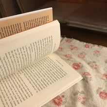 Load image into Gallery viewer, The Lost Brothers
