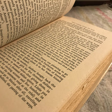 Load image into Gallery viewer, A Private Disgrace: Lizzie Borden By Daylight
