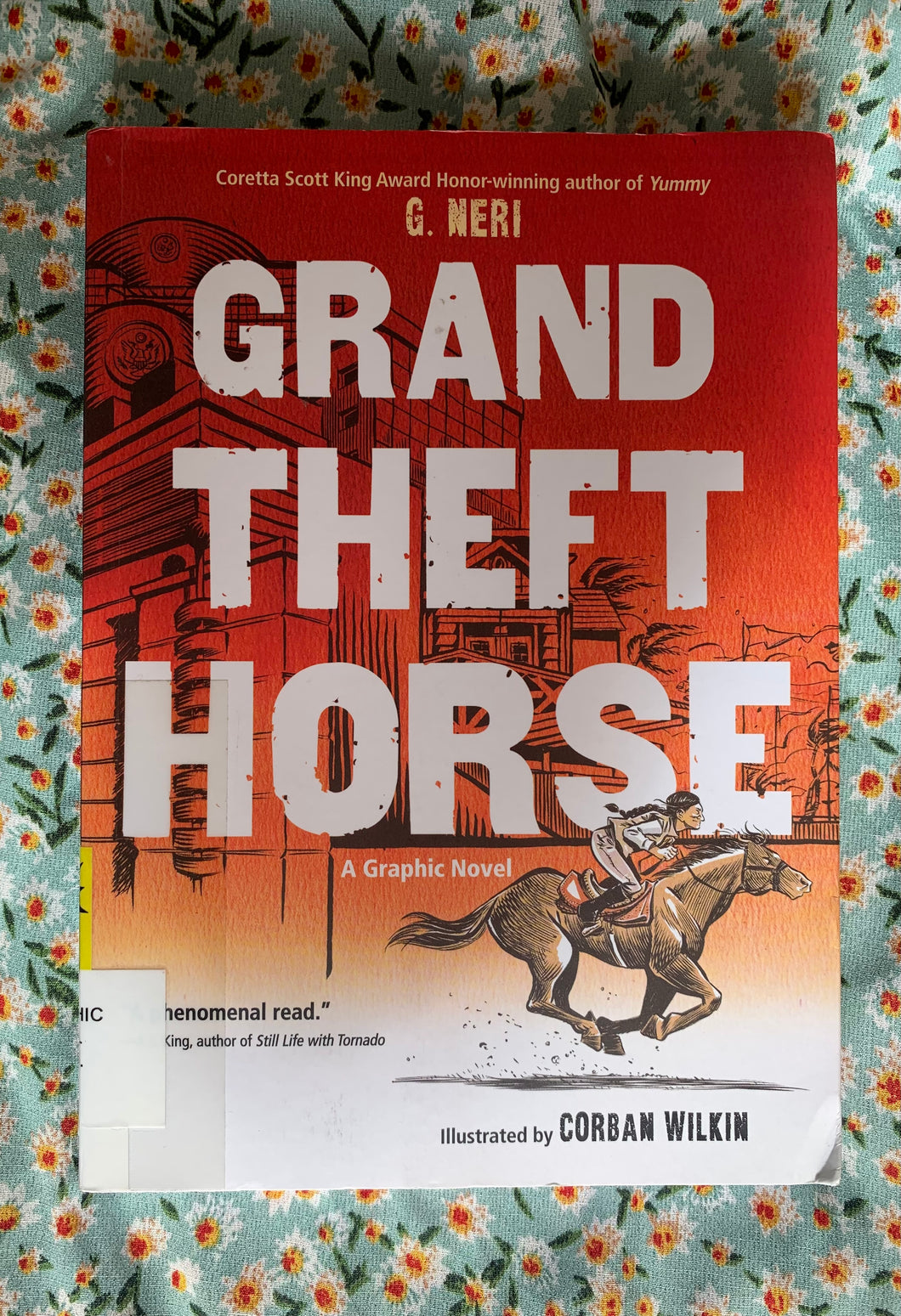 Grand Theft Horse: A Graphic Novel