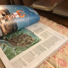 Load image into Gallery viewer, Texas Monthly October 2025 Tim Kennedy
