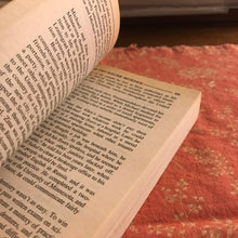 Load image into Gallery viewer, The Pru-Bache Murder
