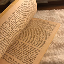 Load image into Gallery viewer, The Pied Piper Of Tuscon
