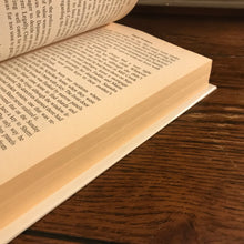 Load image into Gallery viewer, Empty Promises
