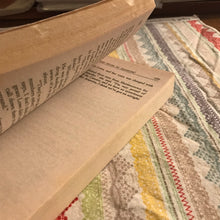 Load image into Gallery viewer, Who Killed My Daughter?
