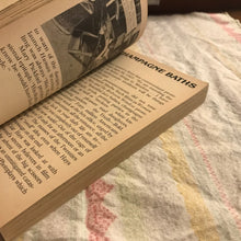 Load image into Gallery viewer, Hollywood Babylon
