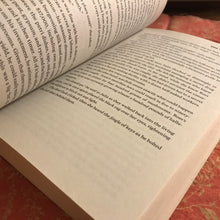 Load image into Gallery viewer, American Kingpin
