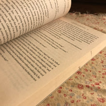 Load image into Gallery viewer, A Death In Belmont
