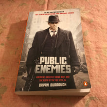 Load image into Gallery viewer, Public Enemies

