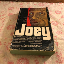 Load image into Gallery viewer, Joey
