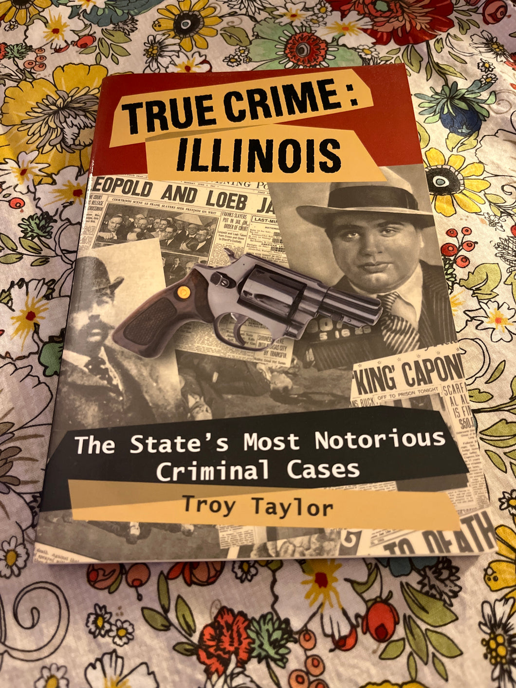 True Crime: Illinois