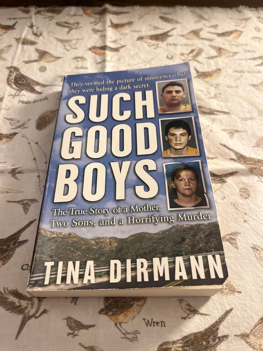 Such Good Boys: The True Story of a Mother, Two Sons, and a Horrifying Murder