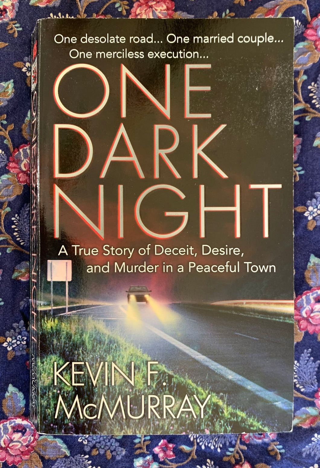 One Dark Night: A True Story of Deceit, Desire, and Murder in a Peaceful Town