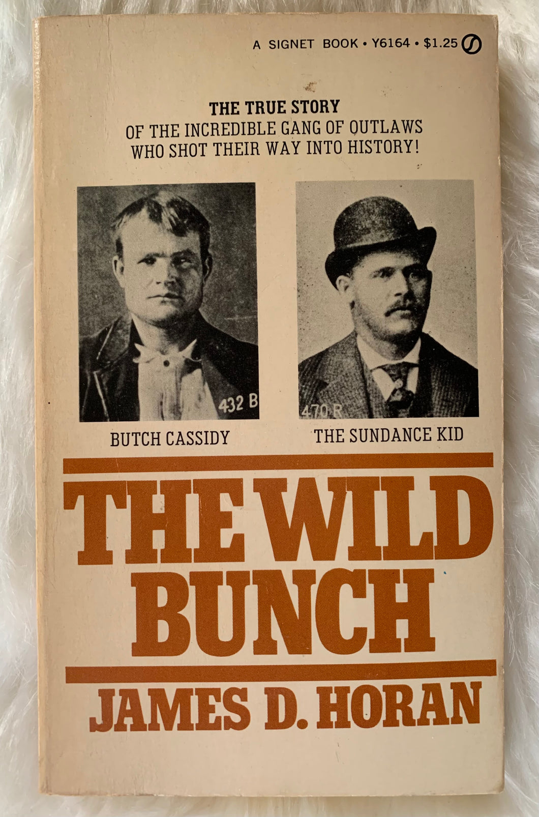 The Wild Bunch: The True Story of the Incredible Gang of Outlaws Who Shot Their Way Into History!
