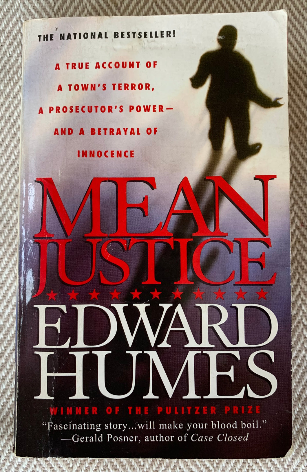 Mean Justice: A True Account Of A Town's Terror, A Prosecutor's Power -- And A Betrayal Of Innocence