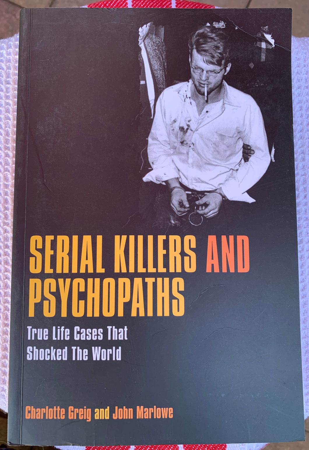 Serial Killers And Psychopaths: True Life Cases That Shocked The World