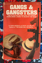 Load image into Gallery viewer, Gangs &amp; Gangsters: The Illustrated History Of Gangs From Jesse James To Murph The Surf
