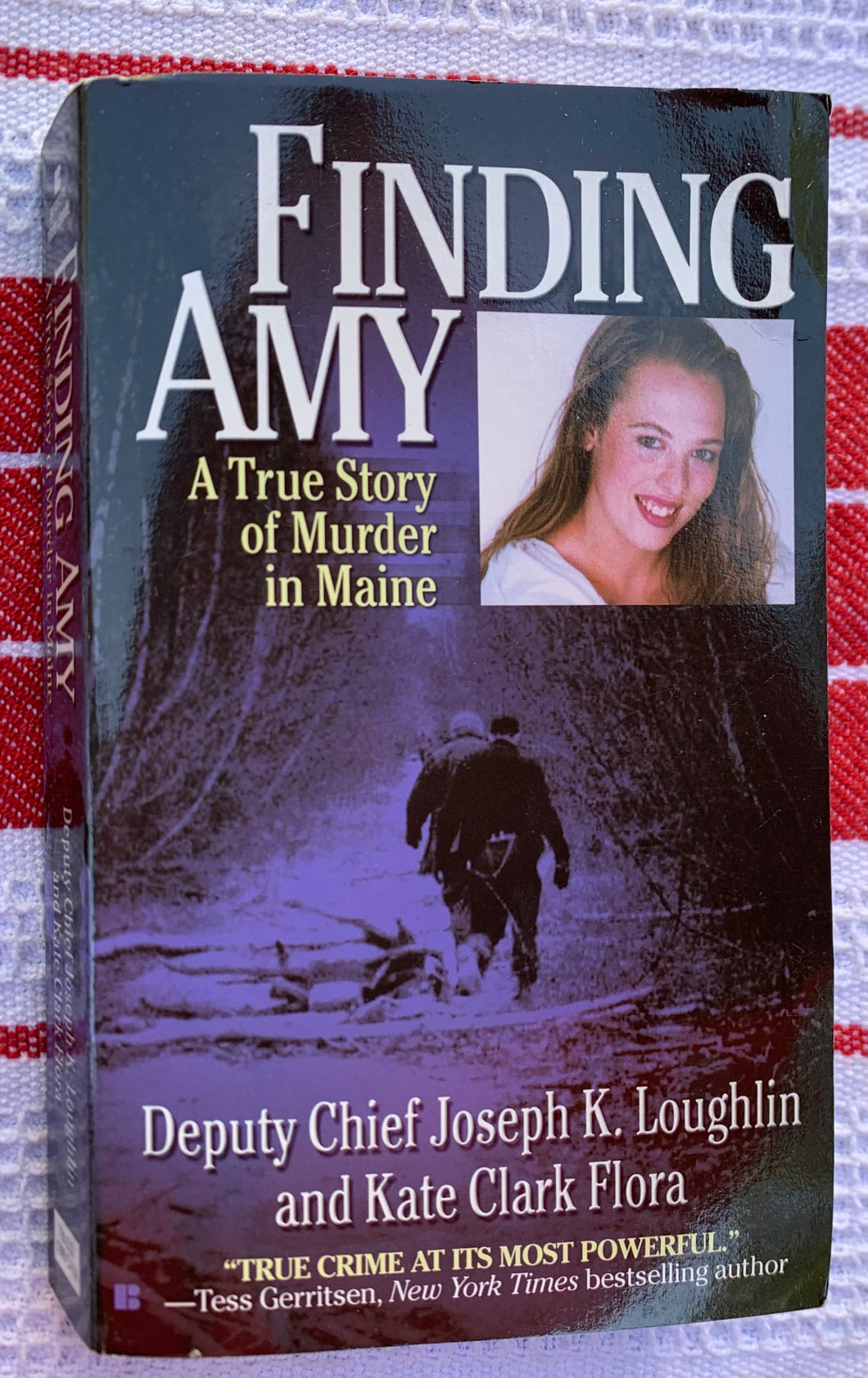 Finding Amy: A True Story of Murder in Maine