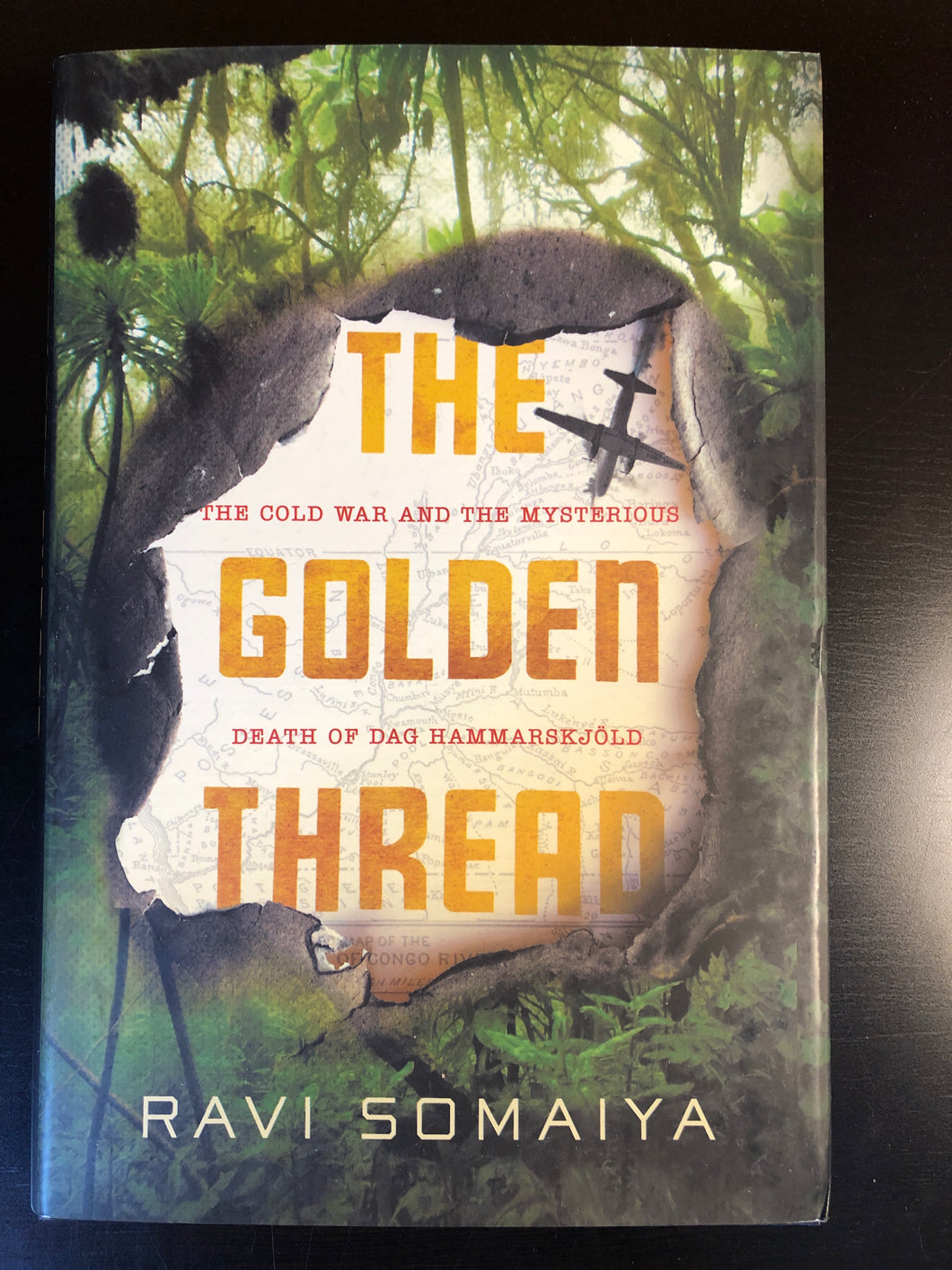 The Golden Thread: The Cold War and the Mysterious Death of Dag Hammarskjöld