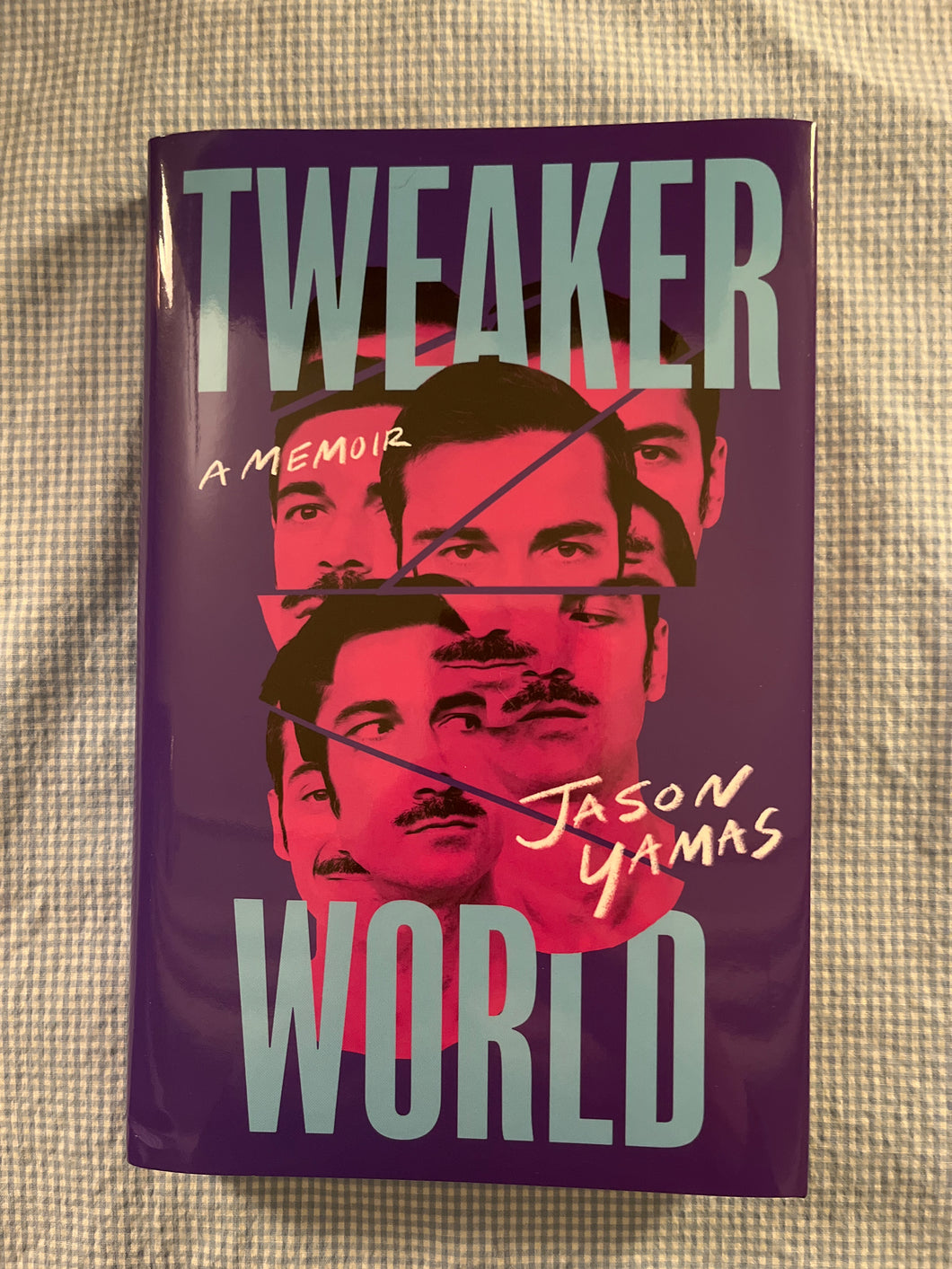 Tweakerworld: A Memoir