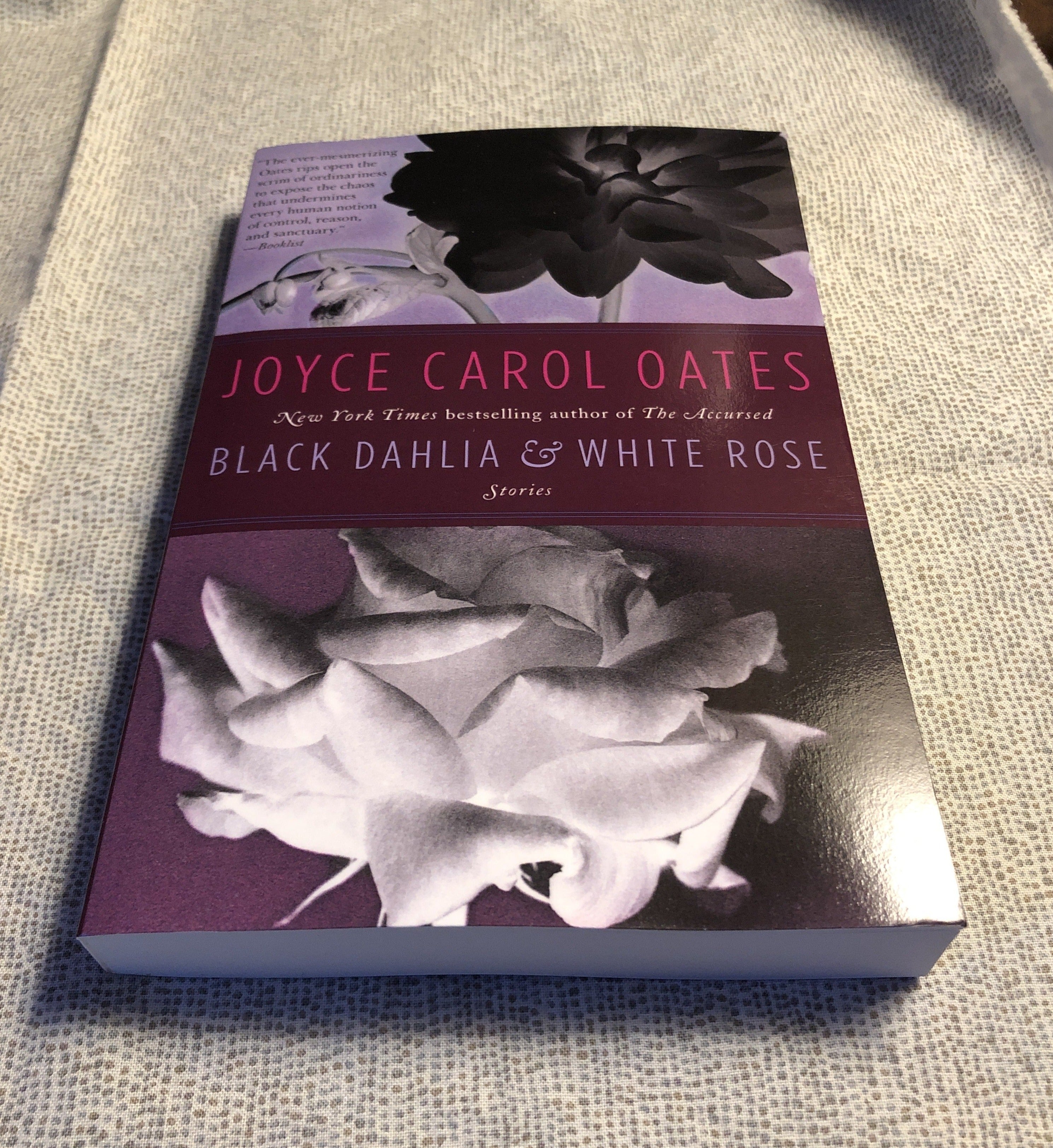 The black dahlia book summary