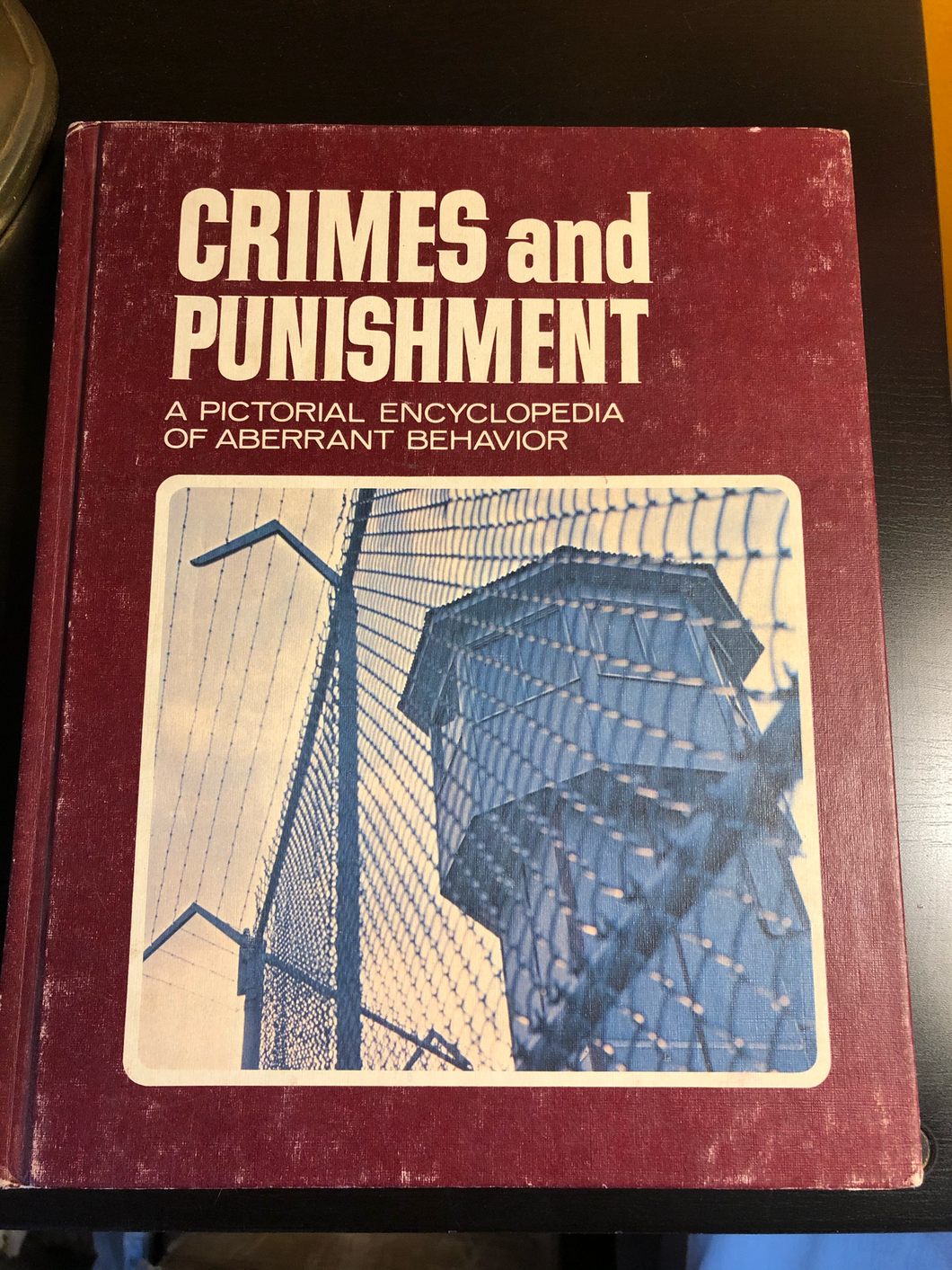 Crimes and Punishment: A Pictorial Encyclopedia of Aberrant Behavior, Vol. 17